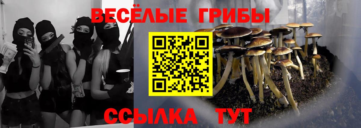Галлюциногенные грибы мухоморы  Галлюциногенные грибы GOLDEN TEACHER  Вход с VPN  Ставрополь 