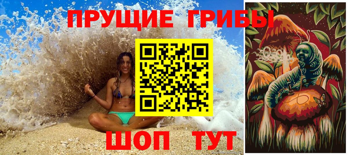 Псилоцибиновые грибы прущие грибы Ставрополь