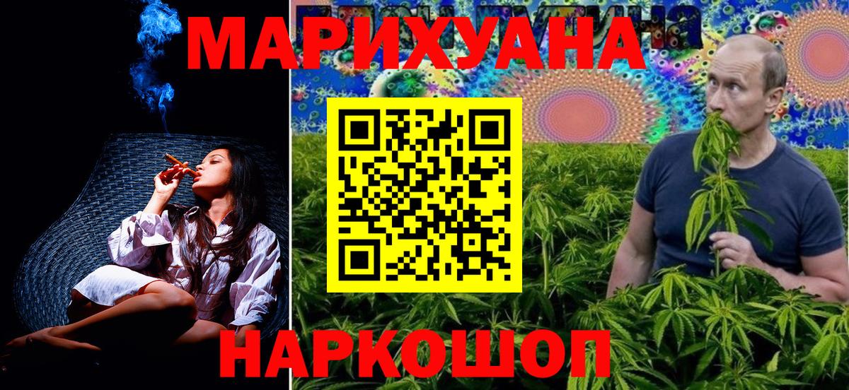 Шишки марихуана семена Ставрополь